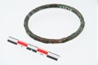 Foto von Bronzering (NHMW-PRAE-023658)